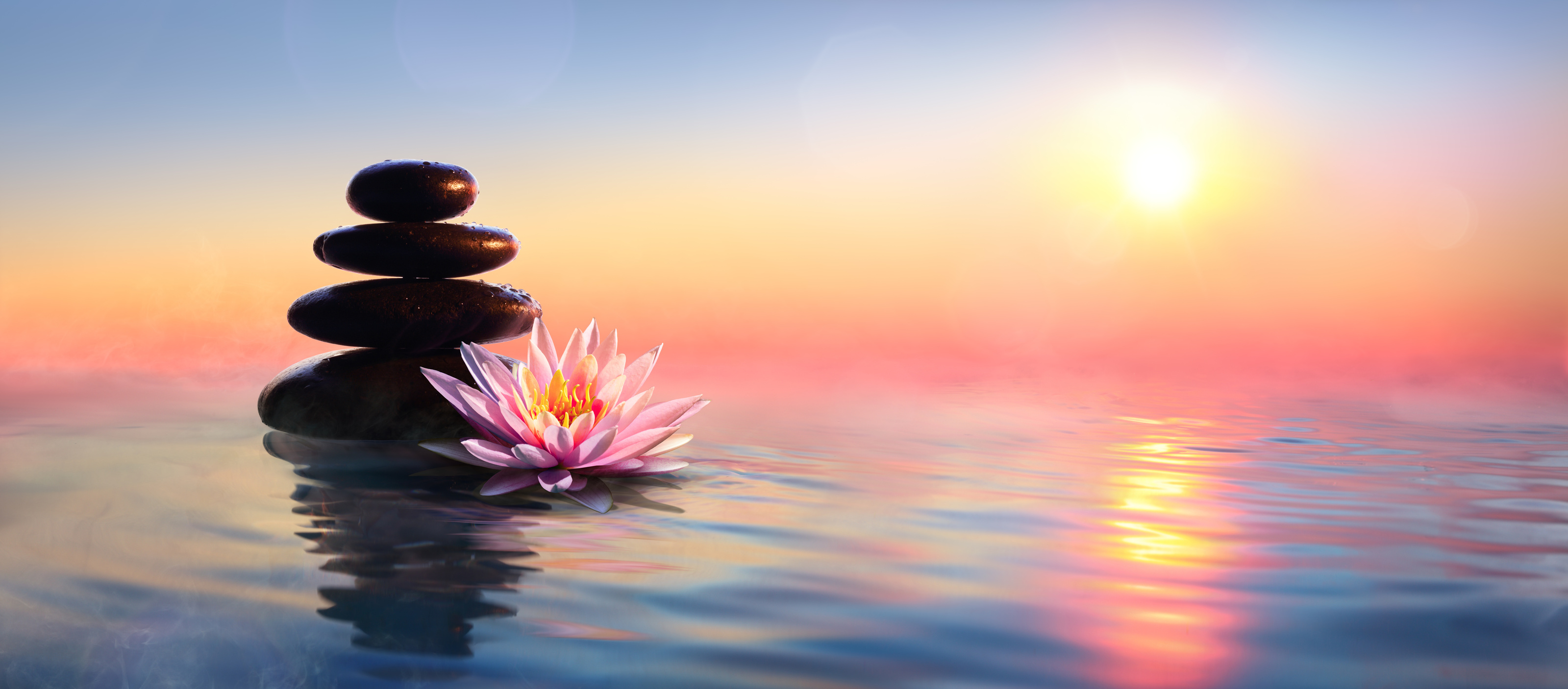Zen Concept - Spa Stones And Waterlily On Water At Sunset